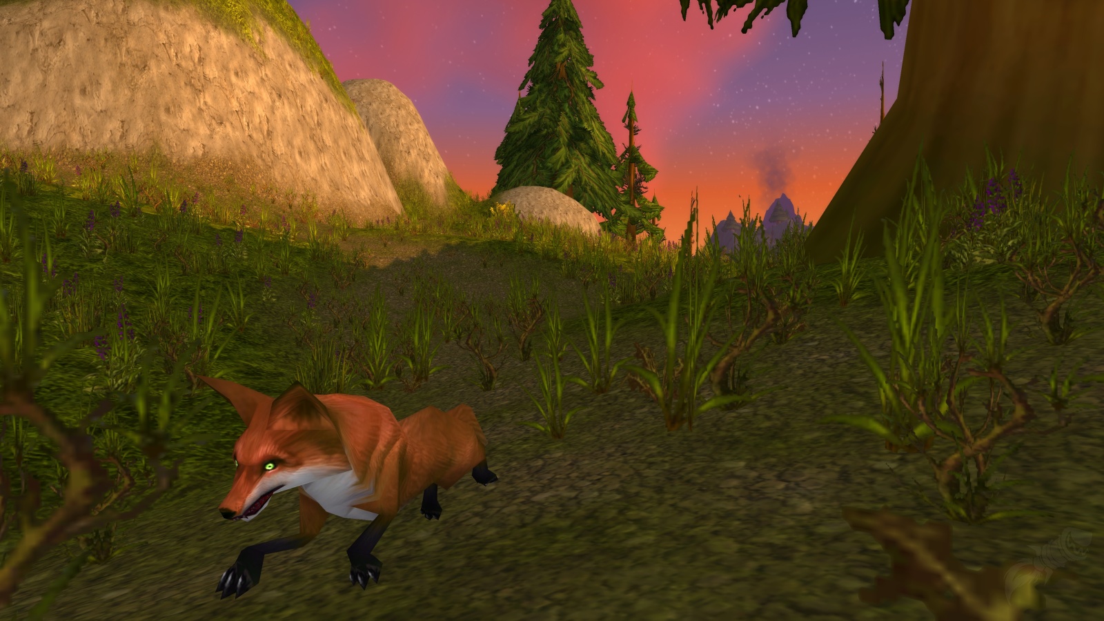 Des queues de renard par brassées Quête World of Warcraft