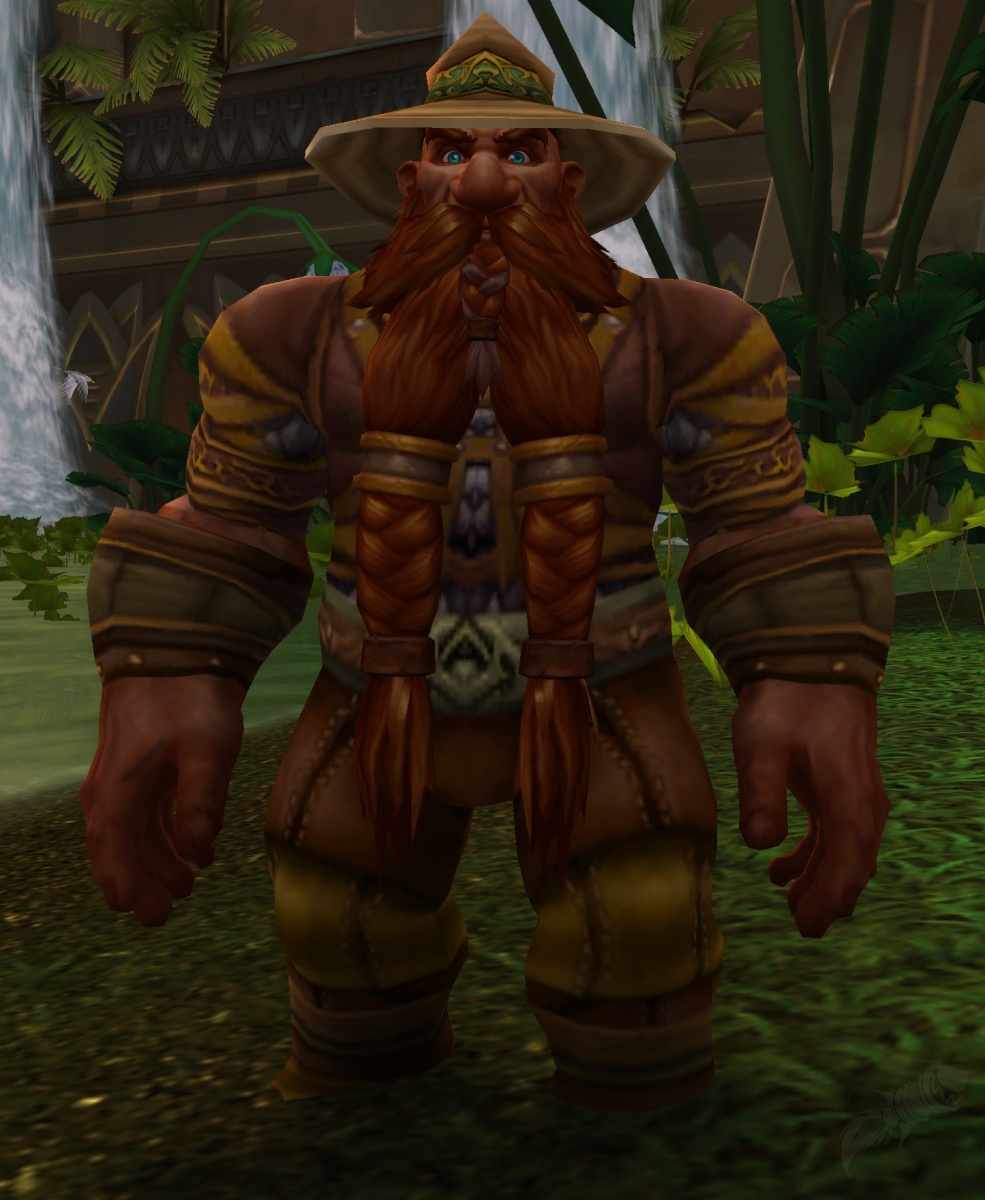 Brann Bronzebeard NPC World of Warcraft