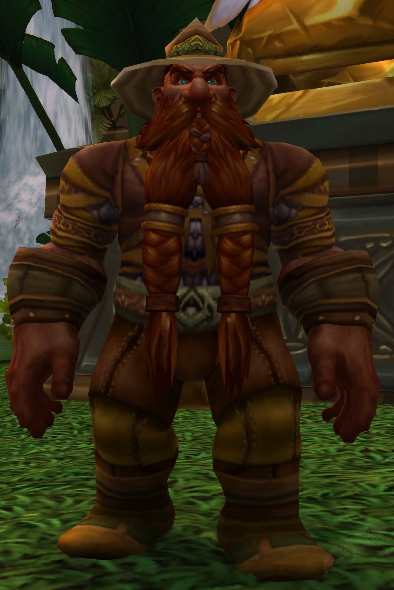 Brann Bronzebeard NPC World of Warcraft