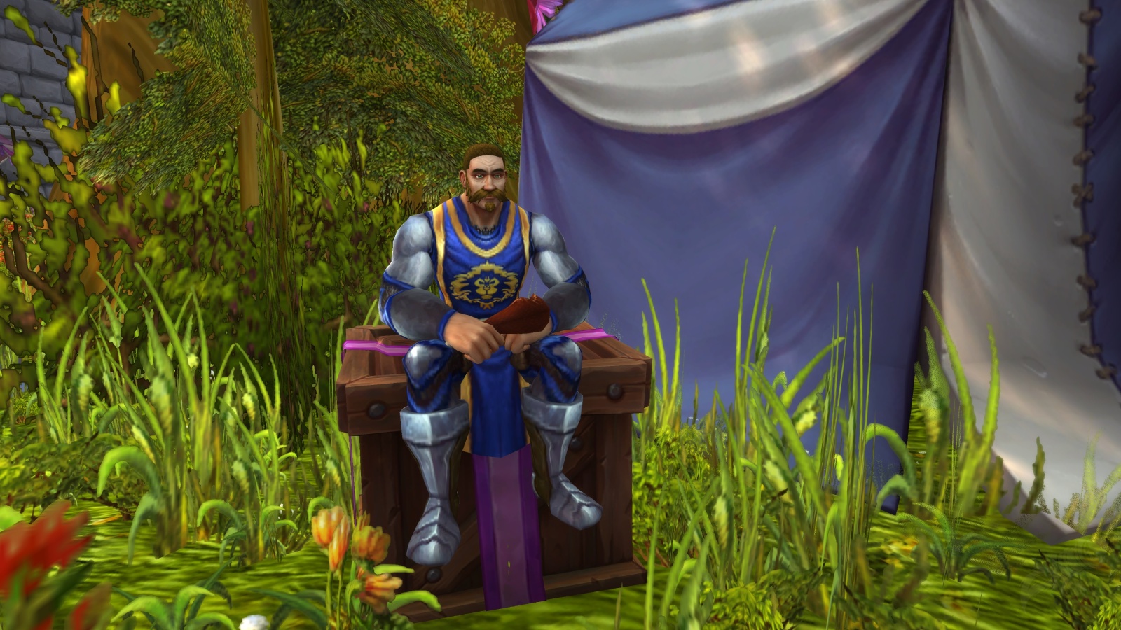 Die Gabe der Erholung Quest World of Warcraft