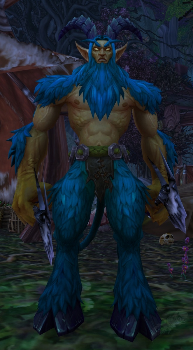 Voleur de Xavian PNJ World of Warcraft