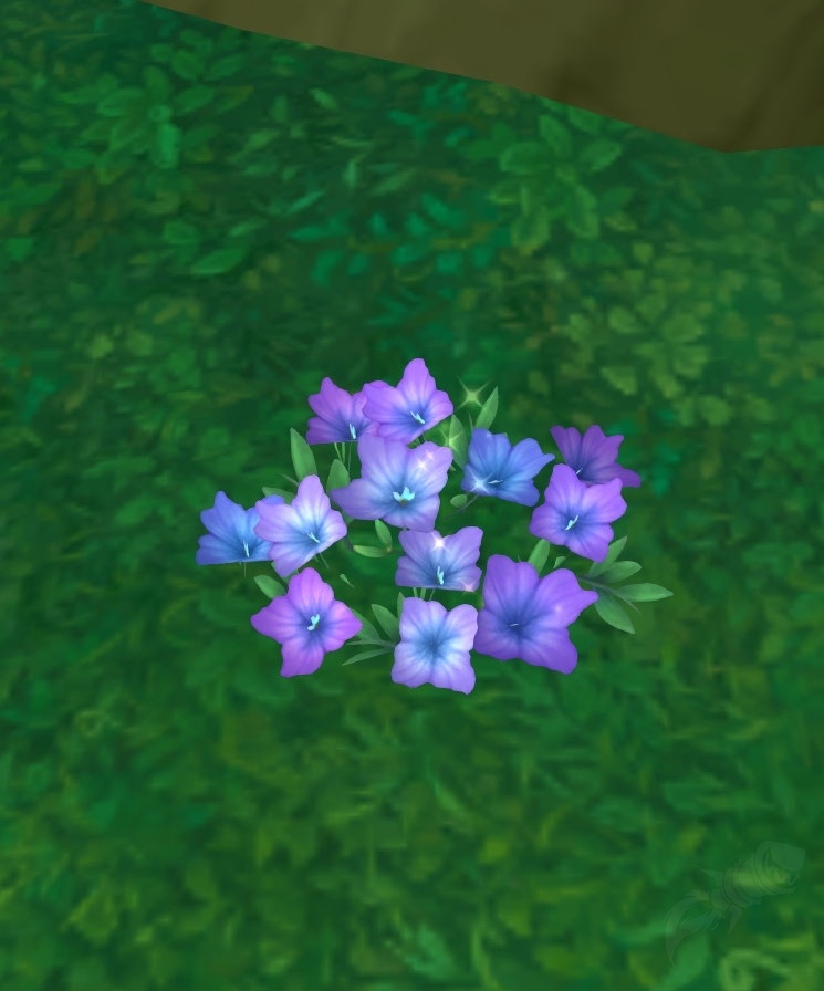 Die Natur besteht Quest World of Warcraft