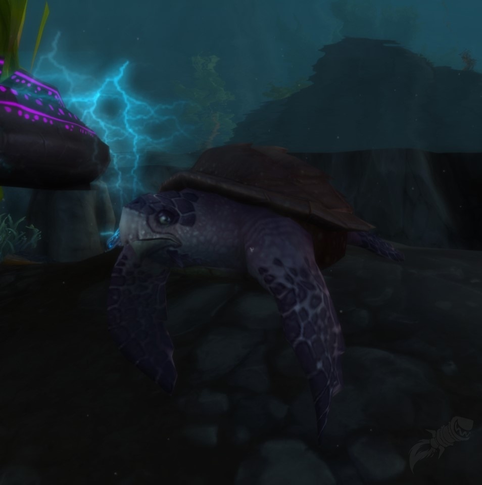 Sea Turtle Npc World Of Warcraft