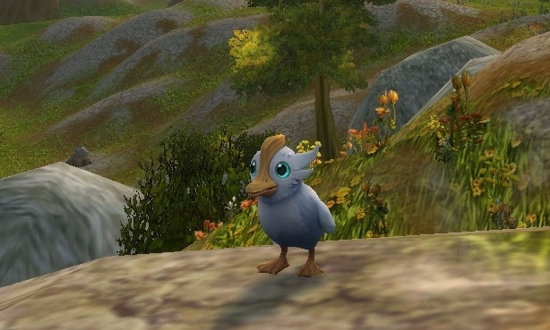 White Duck Disguise - Item - World of Warcraft