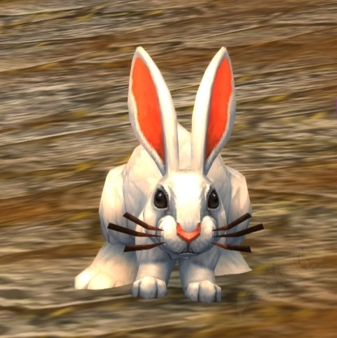 Noblegarden Rabbit - NPC - World of Warcraft