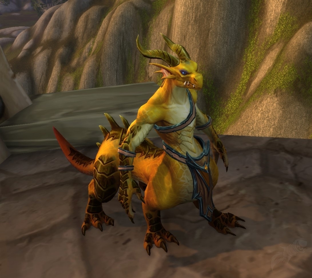Bronze timekeeper npc world of warcraft