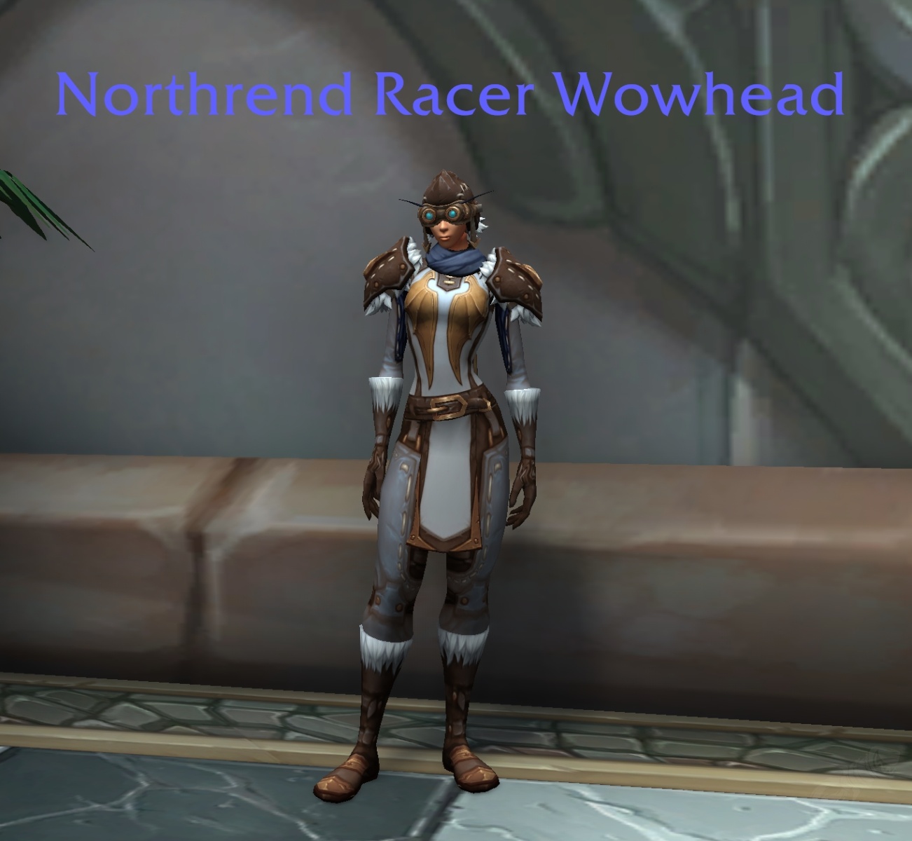 Northrend Racing Completionist Gold Achievement World of Warcraft