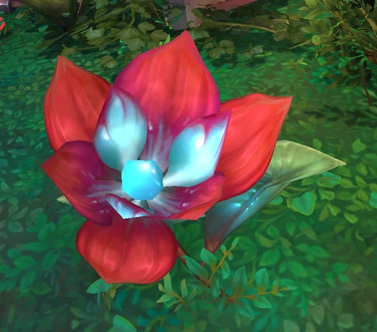 Ruby Blossom - Object - World of Warcraft