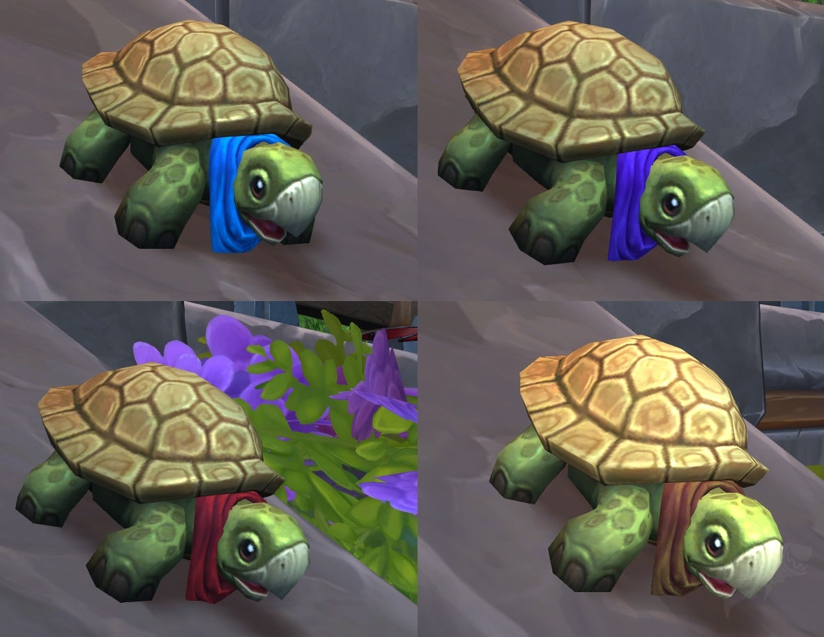 Dalaran Sewer Turtle - NPC - World of Warcraft