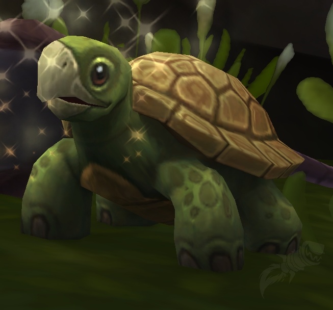 Dalaran Sewer Turtle - NPC - World of Warcraft