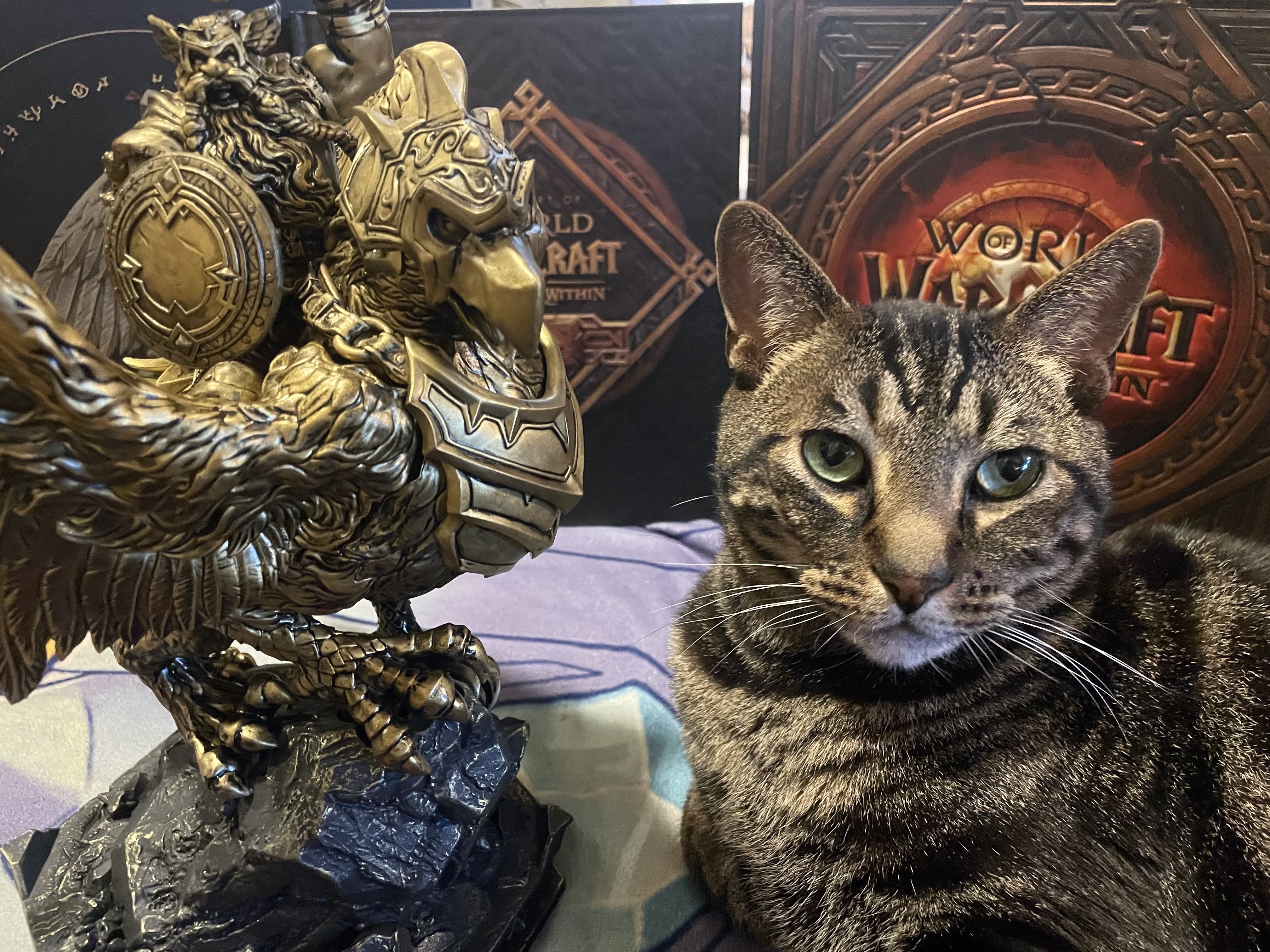 The War Within 20th Anniversary Collector's Edition - Gryphon Rider Statue, Art Book, Collector's Pin - Wowhead News The War Within 20th Anniversary Collector's Edition - Gryphon Rider Statue, Art Book, Collector's Pin - Wowhead News