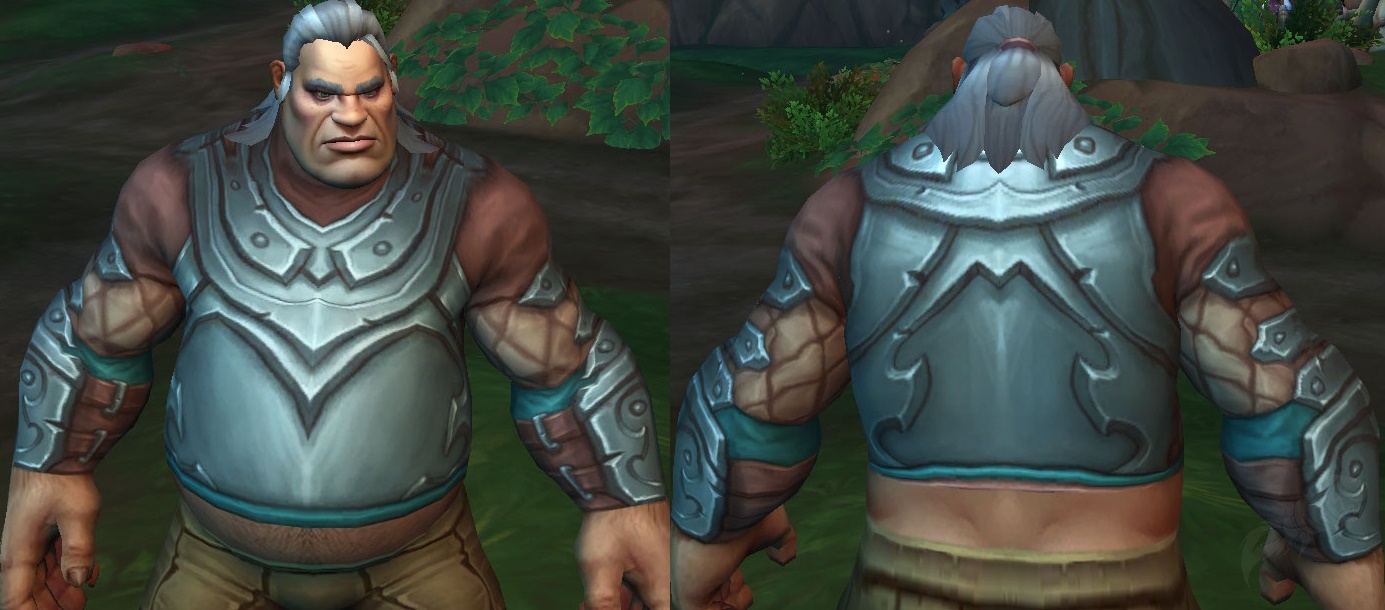 Expedition Guard's Chestguard - Item - 11.0.5 PTR