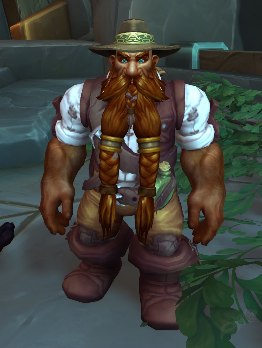 Brann BarbedeBronze PNJ World of Warcraft