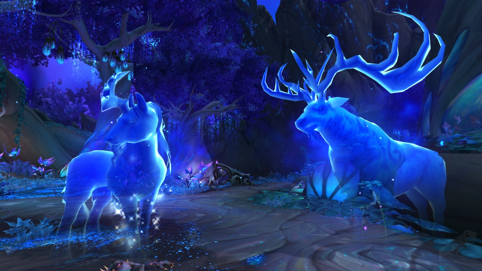 Der Garten der Nacht Quest World of Warcraft