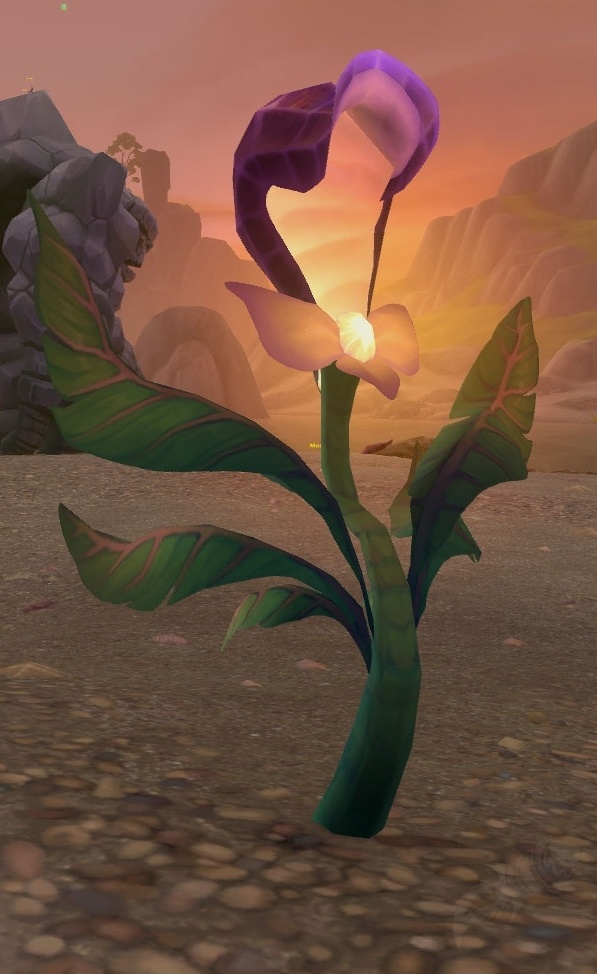 Lush Blessing Blossom Object World of Warcraft