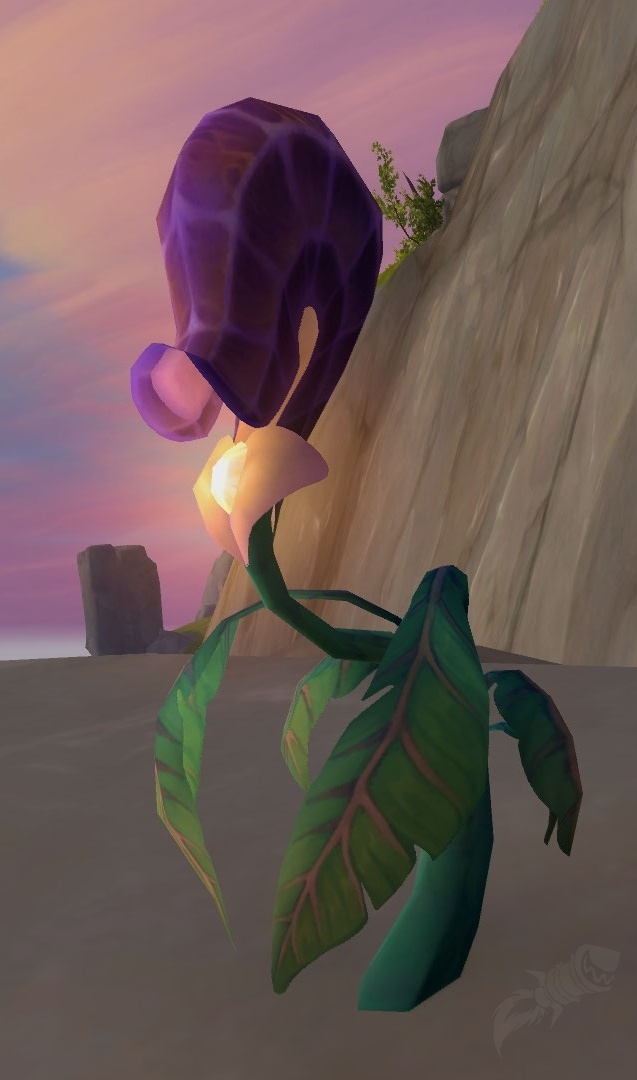 Blessing Blossom - Item - World of Warcraft
