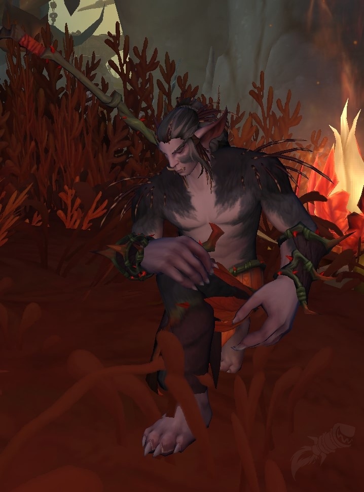 Hannan Rp Hannan - PNJ - World of Warcraft