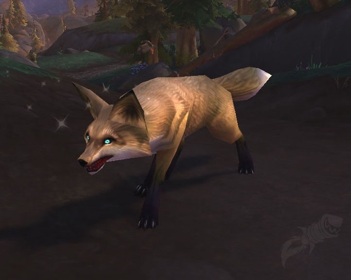 [Confused Fox] - NPC - 월드 오브 워크래프트