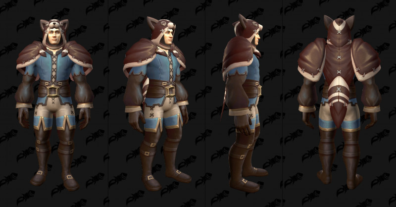 Woodland Attire of the Racoon