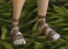 Glacier Walkers - Item - World of Warcraft