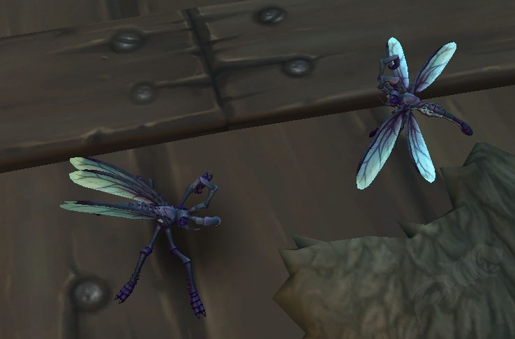 Wow Insects Insecto escurridizo negro - PNJ - World of Warcraft