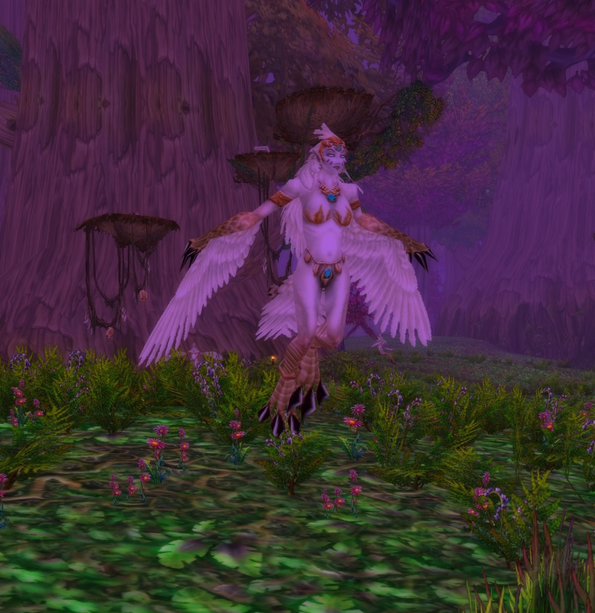 Shelda Furie Shelda - NPC - World of Warcraft: Classic