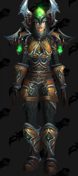 Warrior Normal T14