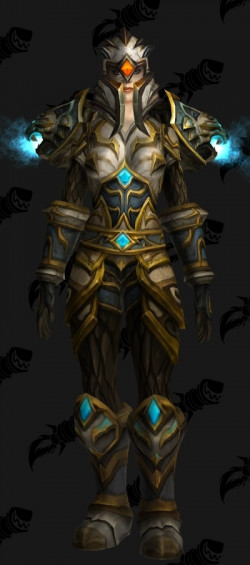 Paladin Heroic T14