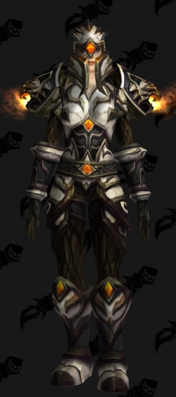 Paladin Normal T14