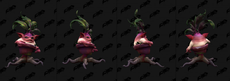 Garden Mandrake Color Variant Red