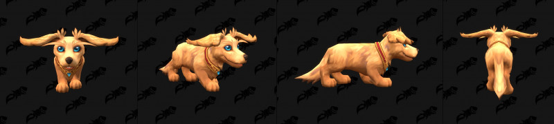 Dachshund Color Variant Golden