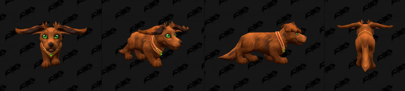 Dachshund Color Variant Red