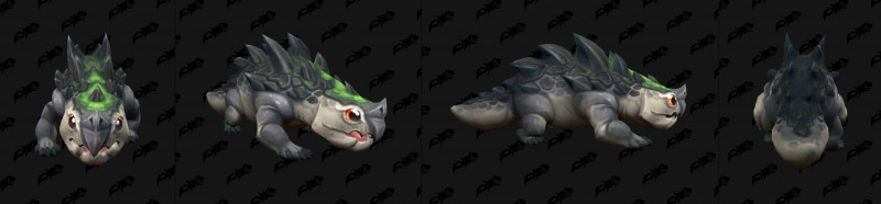 Baby Snap Lizard Variant Black