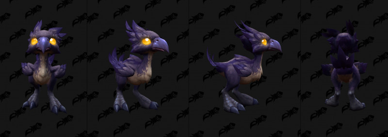 Baby Hawkstriders Variant Black