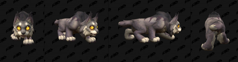 Baby Eversong Lynx Variant Black