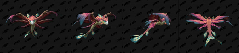 Baby Dragonhawk Variant Coral