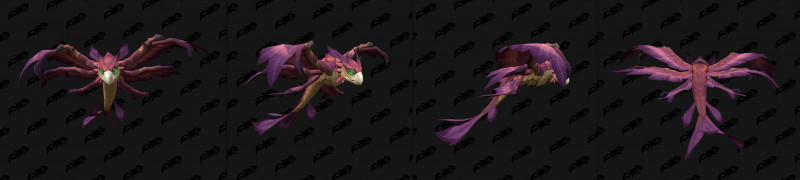 Baby Dragonhawk Variant Plum