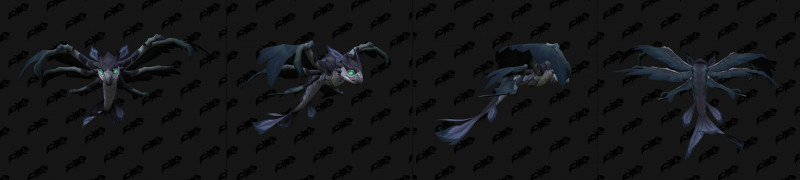 Baby Dragonhawk Variant Black