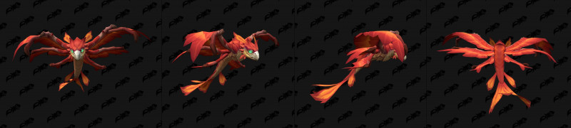 Baby Dragonhawk Variant Orange
