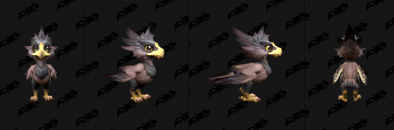 Baby Amani Eaglet Variant Brown