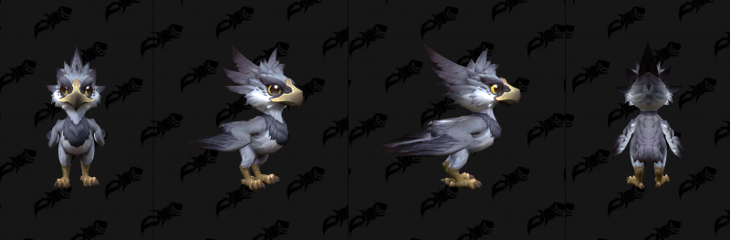 Baby Amani Eaglet Variant Black