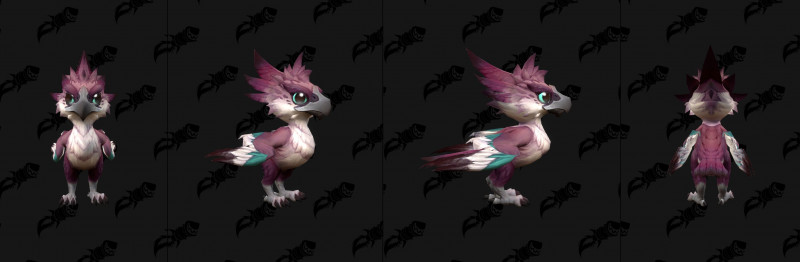 Baby Amani Eaglet Variant Plum