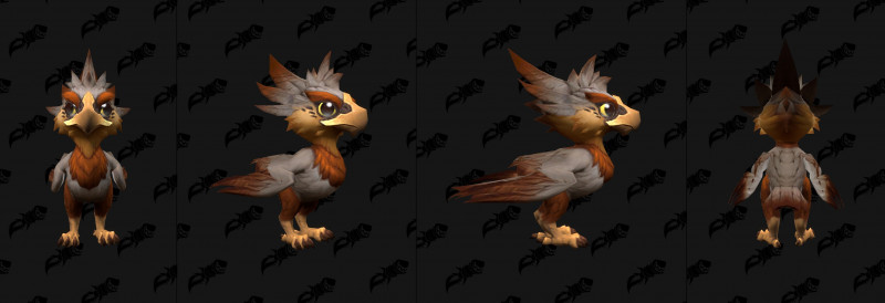 Baby Amani Eaglet Variant Orange