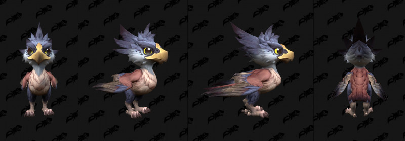 Baby Amani Eaglet Variant Brindle