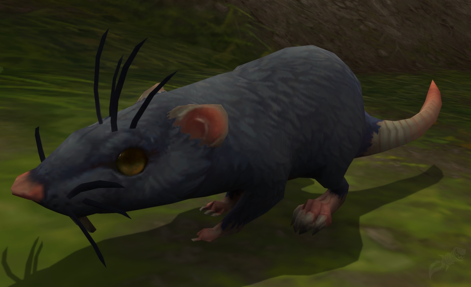 Hungry Rats Hungry Rat - NPC - World of Warcraft