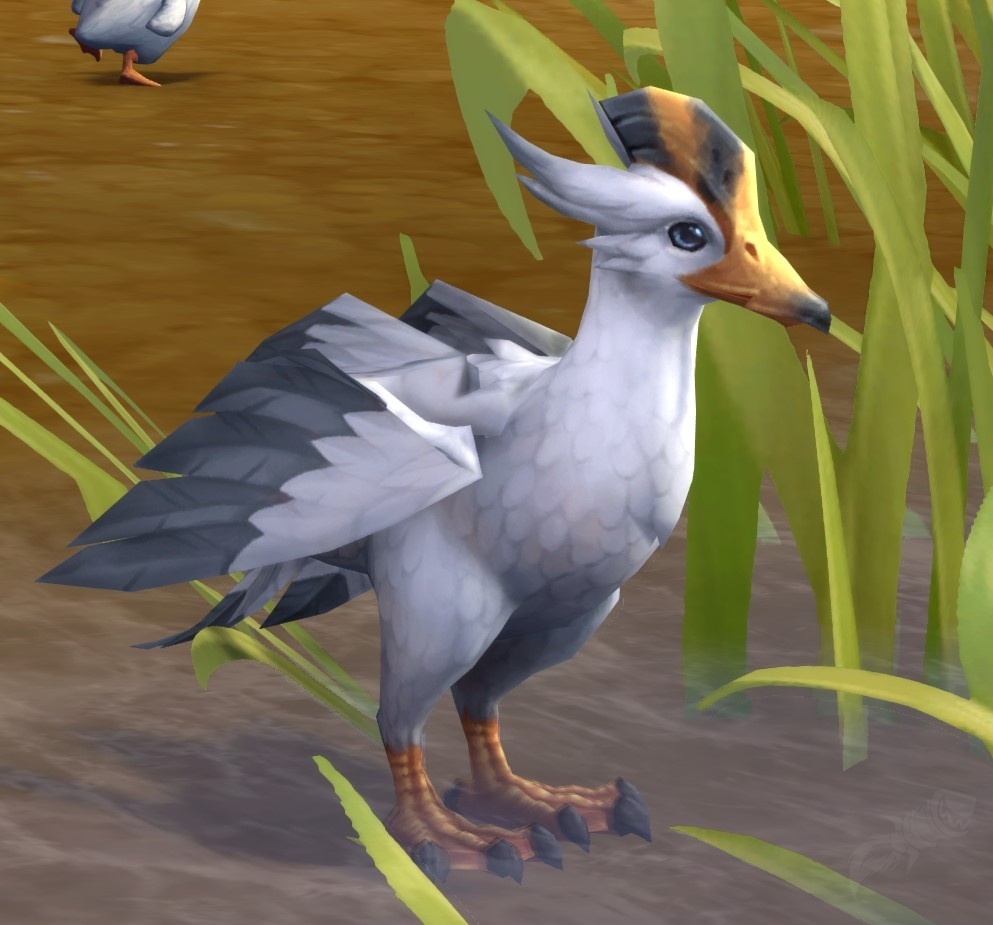 Duck - NPC - World of Warcraft