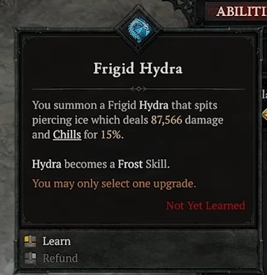 Frigid Hydra Diablo 4 Sorcerer Skill