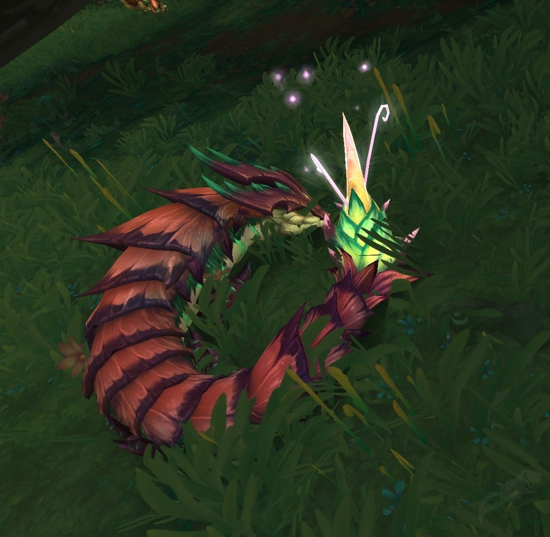 Dracaena - NPC - World of Warcraft