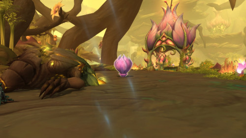 Light-Starved Blossom
