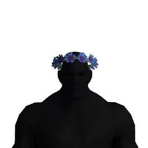 Flower Crown Color 2